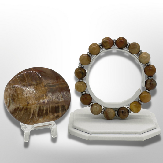 Argentinian Petrified Wood Bracelet Between Steel